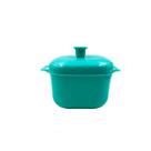 Pote Plástico Resistente Micro-ondas Frezer Alimentos