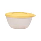 Pote Style Tupperware 425ml