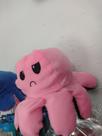 Povo bipolar -
