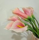 PP Copos-de-Leite Rosa - Planta Permanente - 20Und