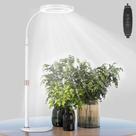 Praia de LED Grow Light para plantas de interior com temporizador e regulável Praia de LED Grow Light para plantas de interior com temporizador e regulável