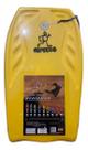 Prancha Bodyboard Grande 100x053cm - Bb04