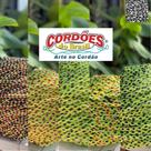 Prateleira de Madeira Coração Tamanho (P).