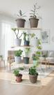 Prateleira Vertical Madeira 4 Níveis Para Plantas