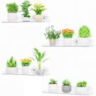 Prateleiras flutuantes para plantas de janela Lifewit, pacote com 4 unidades de Prateleiras flutuantes para plantas de janela Lifewit, pacote com 4 unidades de
