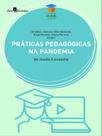 Práticas pedagógicas na pandemia - vol. 15