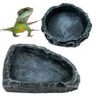 Prato de alimentação de répteis CATENESS para lagarto-dragão barbudo