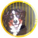 Prato De Porcelana Cachorro Bernese Joseph - 24 Cm