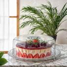 Prato de Vidro com Tampa Plástica Gourmet Para Bolos e Sobremesas - Ruvolo