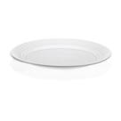 Prato Descartável Raso Platex 20cm Branco C/10 Unidades
