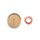 Prato Raso com Ventosa Bam N Boo 6 M - Fisher Price Prato Raso com Ventosa Bam N Boo 6 M - Fisher Price