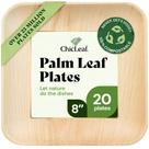Pratos de bambu descartáveis Chic Leaf Palm Leaf Square, pacote com 20