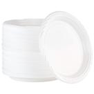 Pratos de jantar de plástico descartáveis PLASTICPRO 10 polegadas 200 ct Pratos de jantar de plástico descartáveis PLASTICPRO 10 polegadas 200 ct