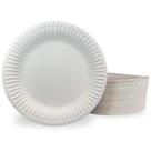 Pratos de papel Under the Sun Products 9 polegadas e 100 unidades