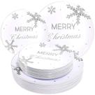 Pratos de plástico de Natal WDF 50 peças Silver Snowflake