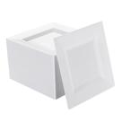 Pratos de sobremesa NZVCN, pacote com 100, plástico branco, 16,5 cm