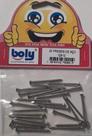 Pregos De Aço 12x12 Kit 25 Pçs - Boly - Ref. 19
