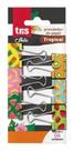 Prendedor Blinder Tris Holic Tropical 6 Un 355131 Prendedor Blinder Tris Holic Tropical 6 Un 355131