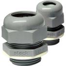 Prensa Cabo Steck 1/4 Bsp S850 Cifp Cinza Prensa Cabo Steck 1/4 Bsp S850 Cifp Cinza