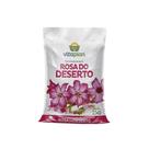 Preparo Para Rosas Do Deserto Vitaplan - 2kg