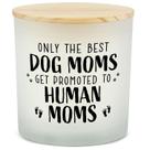 Presente Candle PARDIEUR New Mom para mulheres grávidas com aroma de lavanda