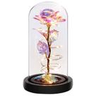 Presente Childom Rainbow Light Up Rose em cúpula de vidro para mãe