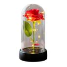 Presente Cúpula de Acrílico com Rosa e Fio de Fada LED Presente Cúpula de Acrílico com Rosa e Fio de Fada LED