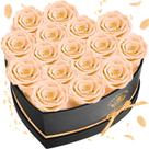 Presente de 16 peças de rosa preservada da Impouo, champanhe Eternal