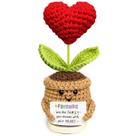 Presente de crochê Tiny Detalles Cute Heart Flower Friendship