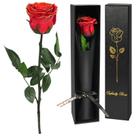 Presente de flor de rosa real preservada Yamonic 31 cm