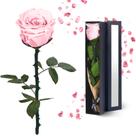 Presente de flor preservada YAMPP Pink Eternal Rose para mulheres