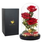 Presente de flores Dream of Flowers A Bela e a Fera Rosa em Vidro Presente de flores Dream of Flowers A Bela e a Fera Rosa em Vidro