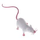 Presente de Halloween falso, modelo Lifelike Mouse, 22 cm Presente de Halloween falso, modelo Lifelike Mouse, 22 cm