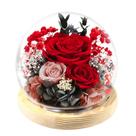 Presente de rosas preservadas FIACO Eternal Flower Glass Dome 12x13 cm Presente de rosas preservadas FIACO Eternal Flower Glass Dome 12x13 cm