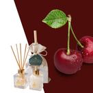 Presente Kit Lavabo Aromatizador e Sabonete Líquido 100ml Presente Kit Lavabo Aromatizador e Sabonete Líquido 100ml