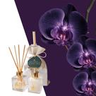 Presente Kit Lavabo Aromatizador e Sabonete Líquido 100ml Presente Kit Lavabo Aromatizador e Sabonete Líquido 100ml