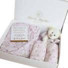 Presente Maternidade Bebê 5 Peças Plush E Algodão Fofo Luxo