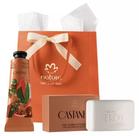 Presente Natura Ekos Creme/Polpa De Mão (40g) e Sabonete (100g) Castanha Kit Presente
