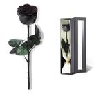 Presente romântico preservado Rose SoFLiv para mamãe, cor preta
