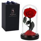 Preserved Rose SW Forever em Glass Dome para o Dia das Mães