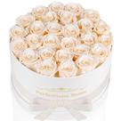 Preserved Roses Perfectione Roses 27 in Box Buttermilk Preserved Roses Perfectione Roses 27 in Box Buttermilk
