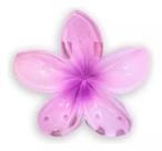 Presilha De Flor Moda 2024 Prendedor De Cabelo Piranha Flor Cores Vivas Presilha De Flor Moda 2024 Prendedor De Cabelo Piranha Flor Cores Vivas