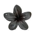 Presilhas De Cabelo Grandes Com Flores Havaianas Para Cabelos Grossos E Finos, Presentes De Verão Presilhas De Cabelo Grandes Com Flores Havaianas Para Cabelos Grossos E Finos, Presentes De Verão