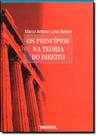 Príncipios na Teoria do Direito, Os Príncipios na Teoria do Direito, Os