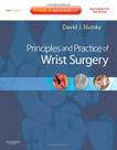 Principles And Practice Of Wrist Surgery With Dvd