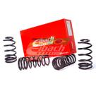 Pro-Kit Molas Esportivas Eibach Nissan March 1.6 2011 até 2020