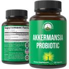 Probiótico de alto desempenho Akkermansia Muciniphila 200M CFUs