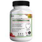 Probióticos orais GREENVIFY DentamPro Max 40 bilhões de CFU