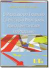 Processo do trabalho e a execucao prov.rumo a efet.do p - LTR