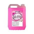 Produto de Limpeza Desinfetante Uso Geral AliPlus Floral 5 L